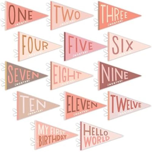 Lucy Darling Petit Milestone Pennants – Baby Monthly Milestone Pennant Flags – Newborn Photo Props & Felt Nursery Decor – Keepsake Banner Set for Baby Photos - Blushing Meadow