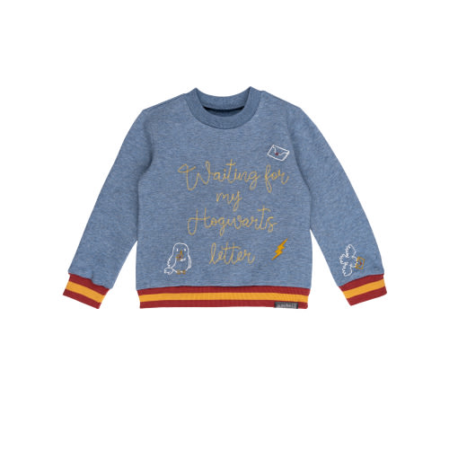 Modern Moments x Harry Potter Toddler Unisex Sweatshirt, Sizes 12M-5T