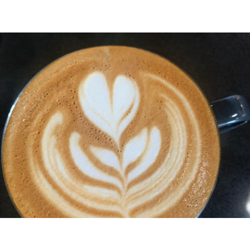 Coffee and Bagels Fund