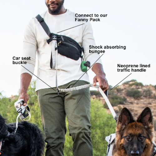 Adventure Bungee Leash – The Mountain Hound