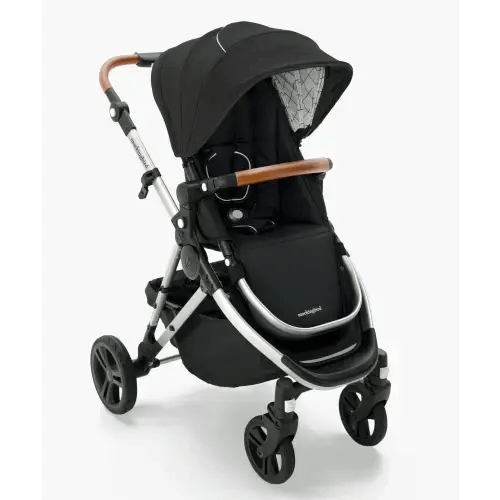 Single-to-Double Stroller 3.0