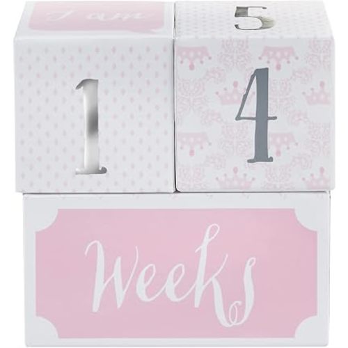Baby Aspen My First Milestone Princess Age Blocks | Baby Picture Props for Photo Sharing The First Year