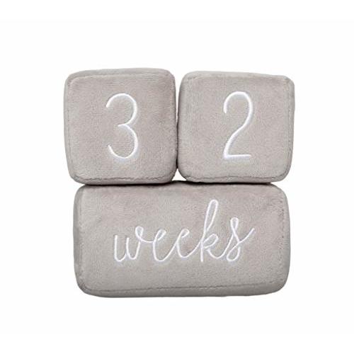 Pearhead Baby Plush Photo Sharing Milestone Age Blocks, Picture Prop, Set of 3 Blocks, Gray