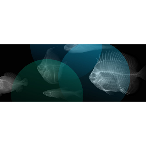 Plan Your Visit - The Academy of Natural Sciences of Drexel University