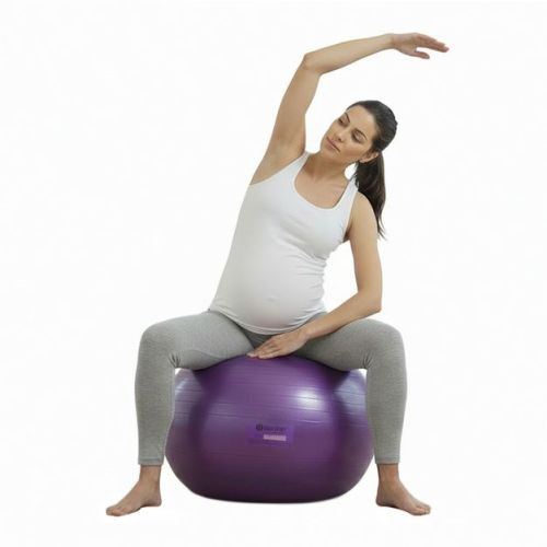 BodySport Slow Release Exercise Ball with Pump, Exercise Equipment for Home, Office, Gym, and Classroom, 45 cm., Purple