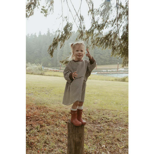 Kelsey Dress in Turtledove Chocolate Stripe