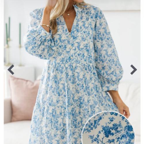 NURSING COLLECTION: A Timeless Love Blue Toile Babydoll Dress