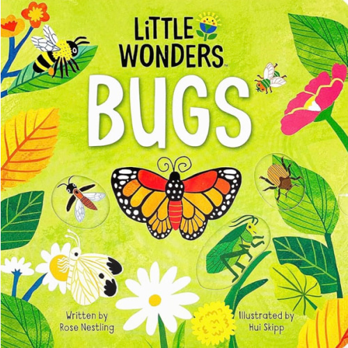 Introduction to the World of Bugs