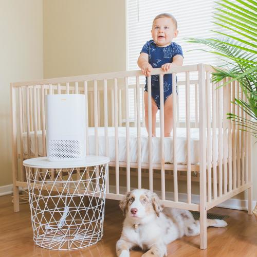 Crane USA, True HEPA Air Purifier with Germicidal UV Light | Zola