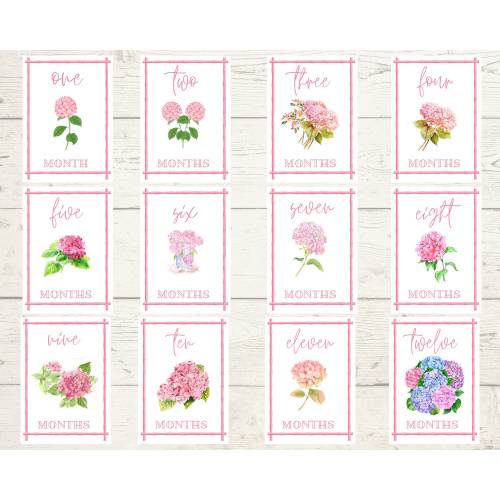 Watercolor Hydrangea Baby Milestone Cards: Shower Gift