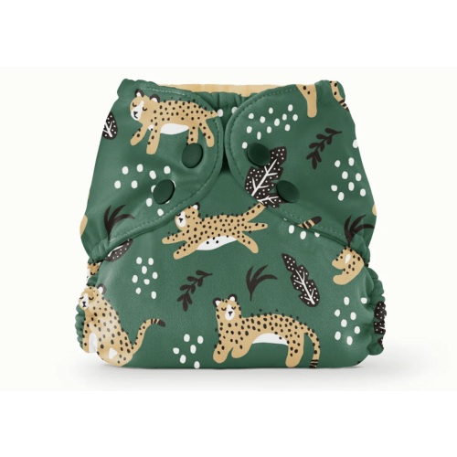 Outer–WWF Wildcats / One