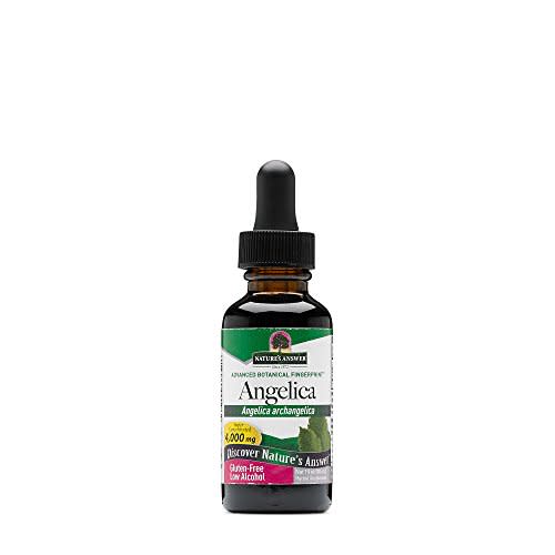 Nature's Answer Angelica Root with Organic Alcohol, 1-Fluid Ounce