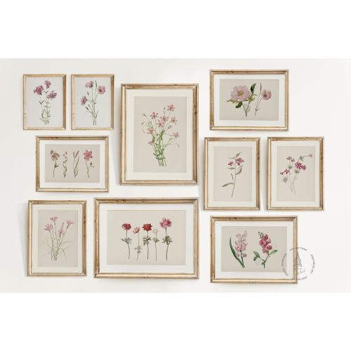 Vintage Botanical Prints Gallery wall Set of 10, Pink Floral Poster, Botanical prints, Antique Botanical Prints, Vintage Flower Prints