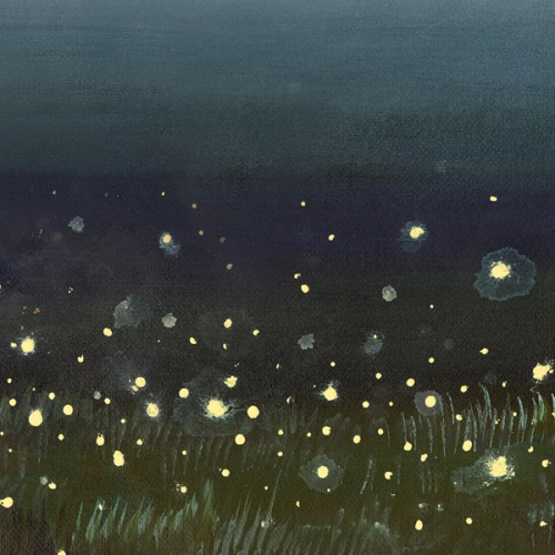Firefly Field Luxe Art Print