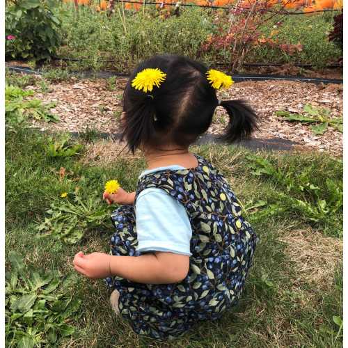 Blueberry Bush Baby Romper. Toddler Romper