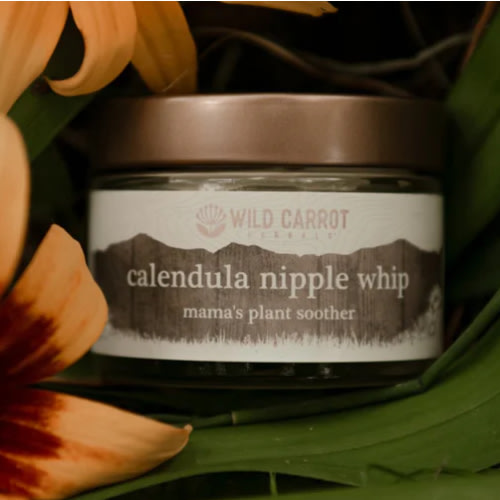 Calendula Nipple Whip – Wild Carrot Herbals