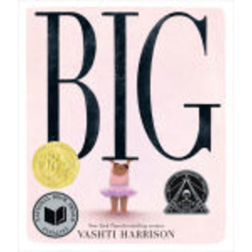 Big (Caldecott Medal Winner) by Vashti Harrison, Hardcover | Barnes & Noble®
