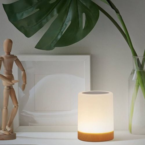 Globe Electric LED Integrated Rechargeable Portable Touch Lamp:USB, No Assembly Required