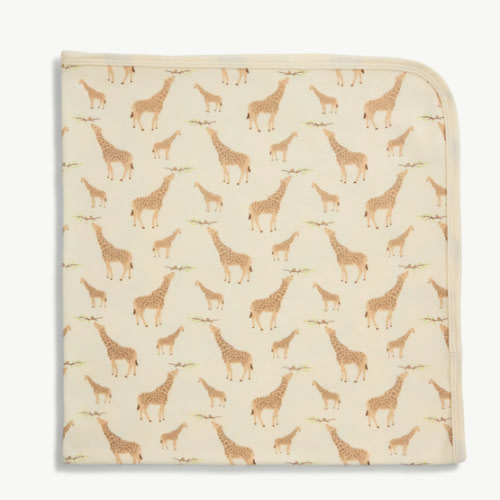 Magnetic Me Baby Blanket