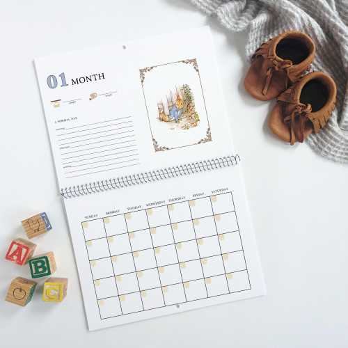Your First Year Baby Calendar | Peter Rabbit Illustrations | Vintage Art | Newborn Keepsake Journal | Undated | Nursery | Milestone Stickers