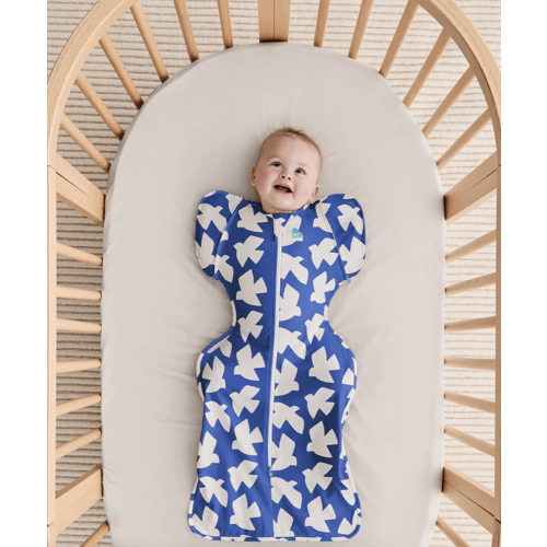 Swaddle Up Transition Cobalt Paperbirds – Love to Dream US