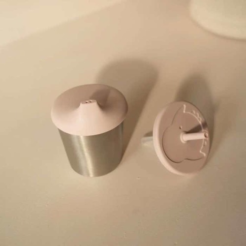 Stainless Steel 2-in-1 Cup with Straw and Spout