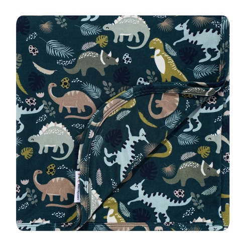 Prehistoric Friends Dinosaur Luxury Bamboo Blanket – Emerson and Friends