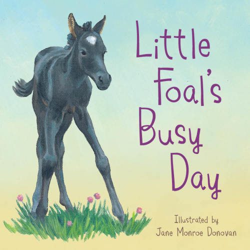 little foal's busy day – Bridle Up Hope Shop