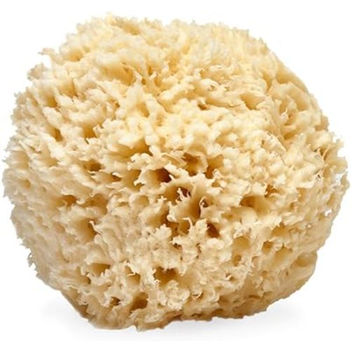 LATHER - Natural Sea Wool Sponge, 4-5" - Organic Exfoliating Body Scrubber - Soft, Gentle Cleansing - Hypoallergenic - All Skin Types - Florida Natural Loofah Sponge - Cruelty Free - Beauty & Skincare
