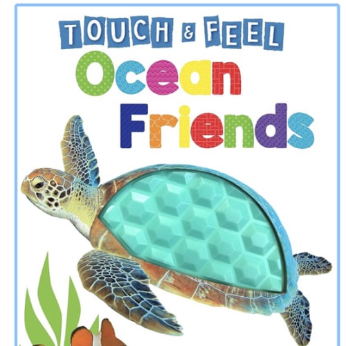 Ocean Friends - Touch and Feel Board Book - Sensory Board Book