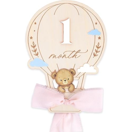 Baby Monthly Milestone Markers, 1–12 Month Milestone Signs, Newborn Photo Props, Baby Growth Photo Cards, Nursery Room Decor (Pink D16)