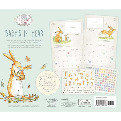 Baby's First Year 13 Month Calendar