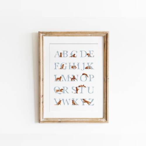 Red Golden Retriever Alphabet Poster. Puppy abc poster. Golden Retriever Alphabet Print. Educational Poster Nursery Decor. Digital Download