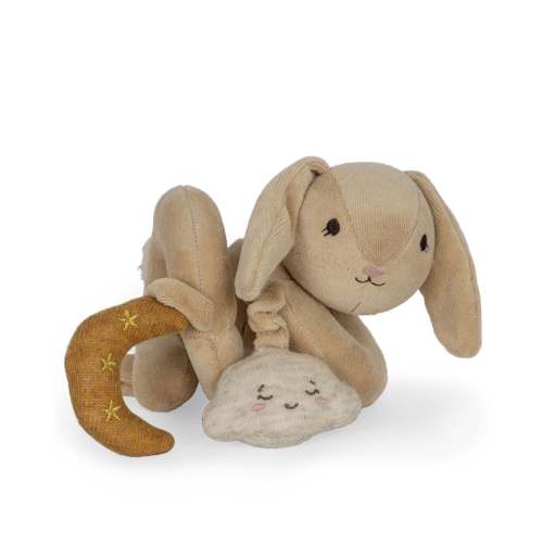 bunny activity spiral