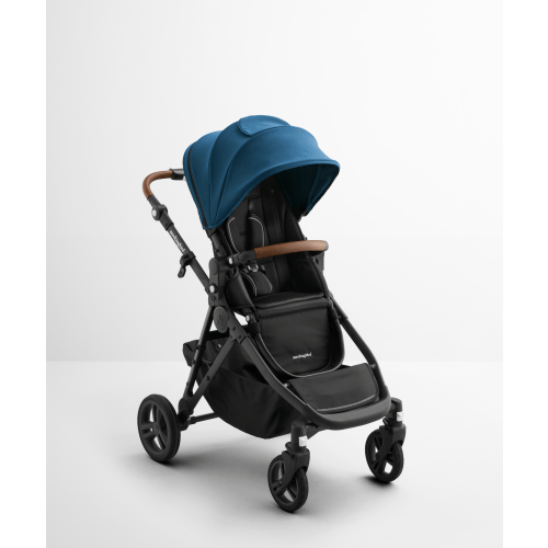 Single-to-Double Stroller 3.0
