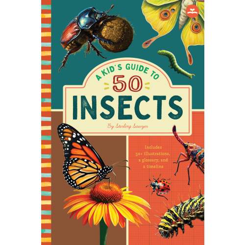 A Kid’s Guide to 50 Insects