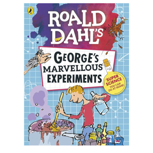 Roald Dahl Georges Marvellous Experiment