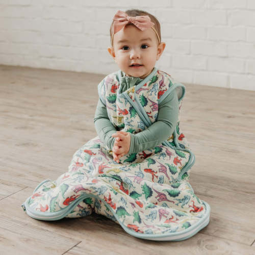 Sleep Bag - Dinosaurs of Jurassic Park