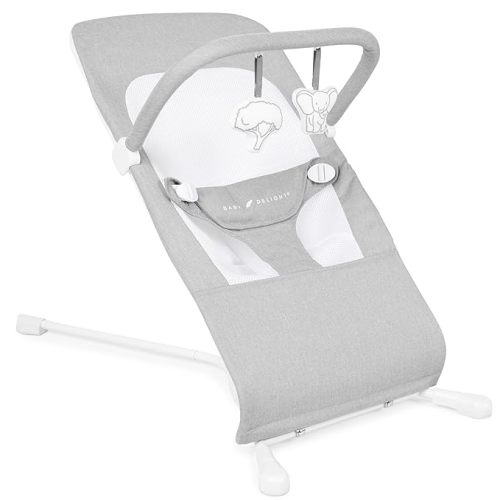 Baby Delight Highland Baby Bouncer | Infant | 0 – 6 Months | 3-Position Recline | Pebble Grey