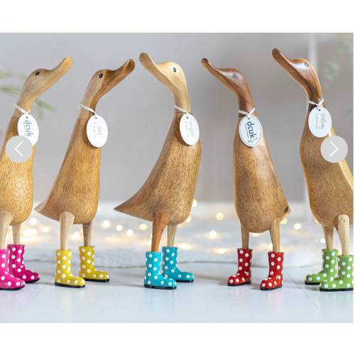Natural Wood Ducklets with Spotty Welly Boots