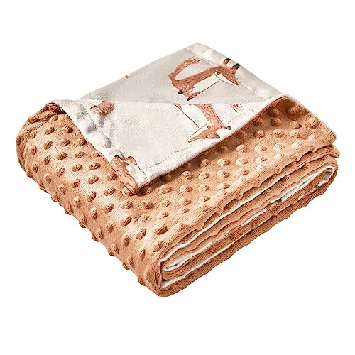 iEvolve Baby Nursery Bed Blankets Ultra Soft Double Layer Mini Blanket Minky Blanket Receiving Blankets Shower Gifts(30"*40",Fox)