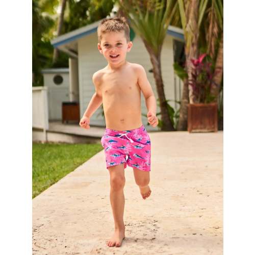 The Lil Great Pink Shark