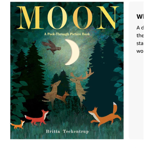 Moon: A Peek-Through Picture Book