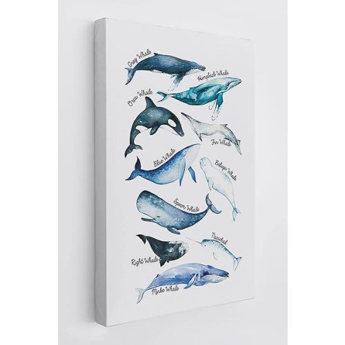 Sea Life Whale Educational Ocean Animal Chart Wall Art Canvas Farmhouse Whale Theme 11x14 Inch Prints Decor For Home Bedroom Living Room Classroom Library Dorm,Gift For Kids Students Classmates