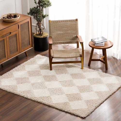 Atiran Checkered Shag Beige Area Rug