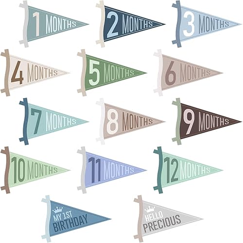 14 Pcs Baby Monthly Milestone Signs Pennant Flags, Hello World Newborn Announcement Sign, Felt Baby Months Signs Photoshoot Props for Boy Girl Newborn Birthday Party Nursery Decor