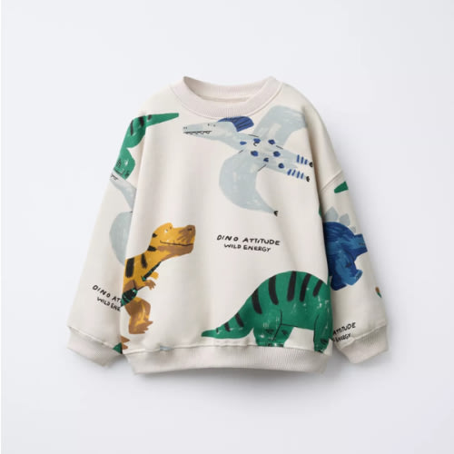 DINOSAUR PRINT SWEATSHIRT - Ice | ZARA United States