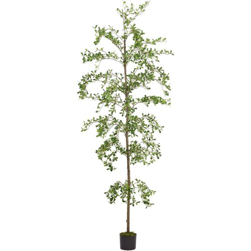 Shady Lady Faux Tree 7ft Black Olive Tree Artificial Tall Indoor Plant