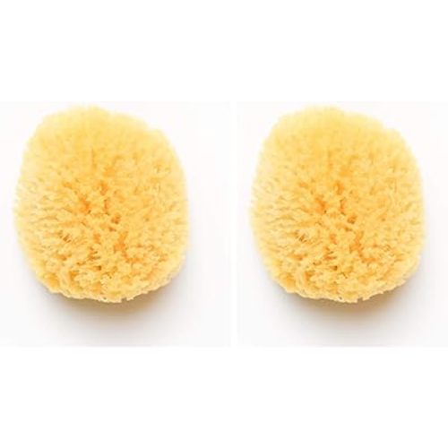 Kyte Baby Natural Sea Sponge, 4 to 5 Inches (Pack of 2)