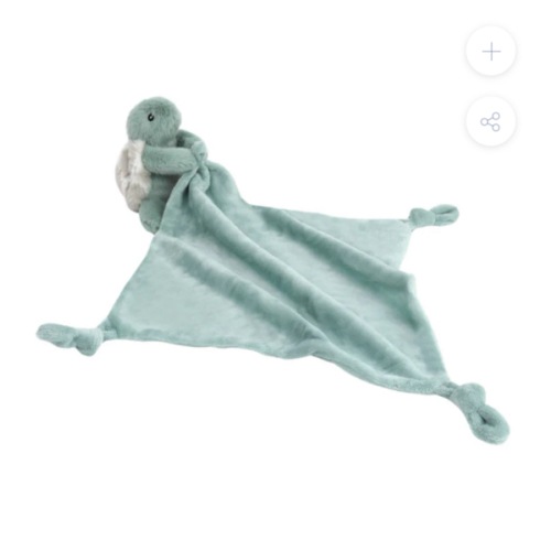 Taylor the Turtle Blankie